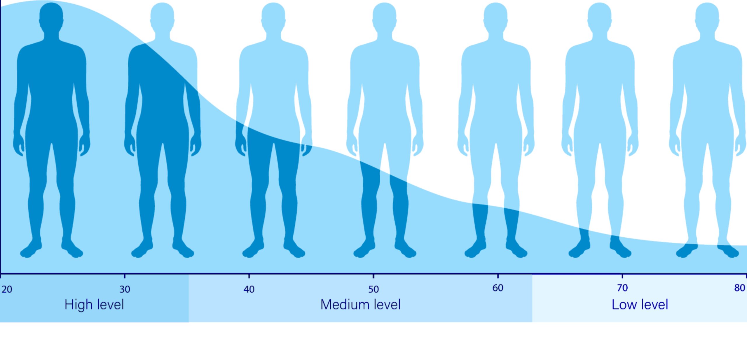 Testosterone Levels